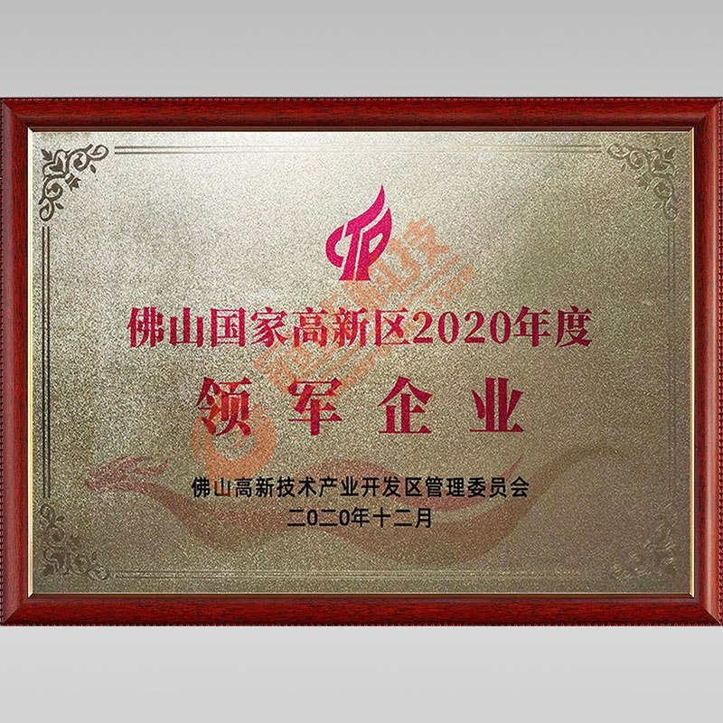 國家高新區(qū)2020年度領(lǐng)軍企業(yè)