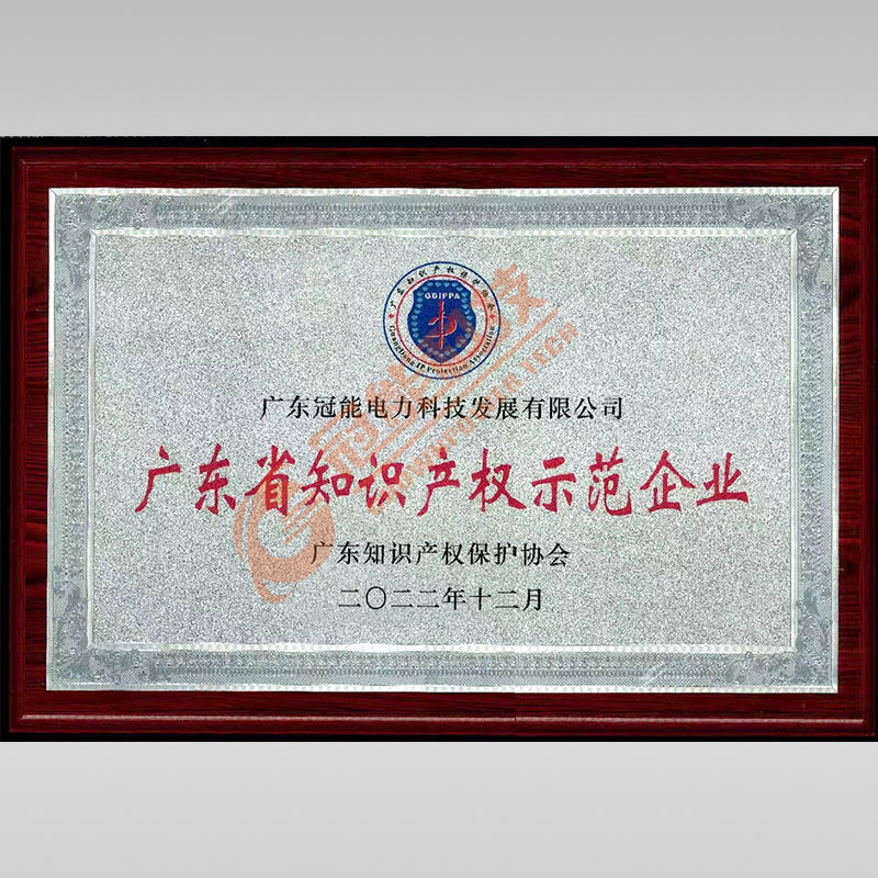 廣東省知識產(chǎn)權(quán)示范企業(yè)